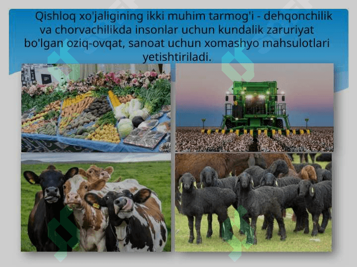 Qishloq xo’jaligi va uning tarkibiy qismlari 3