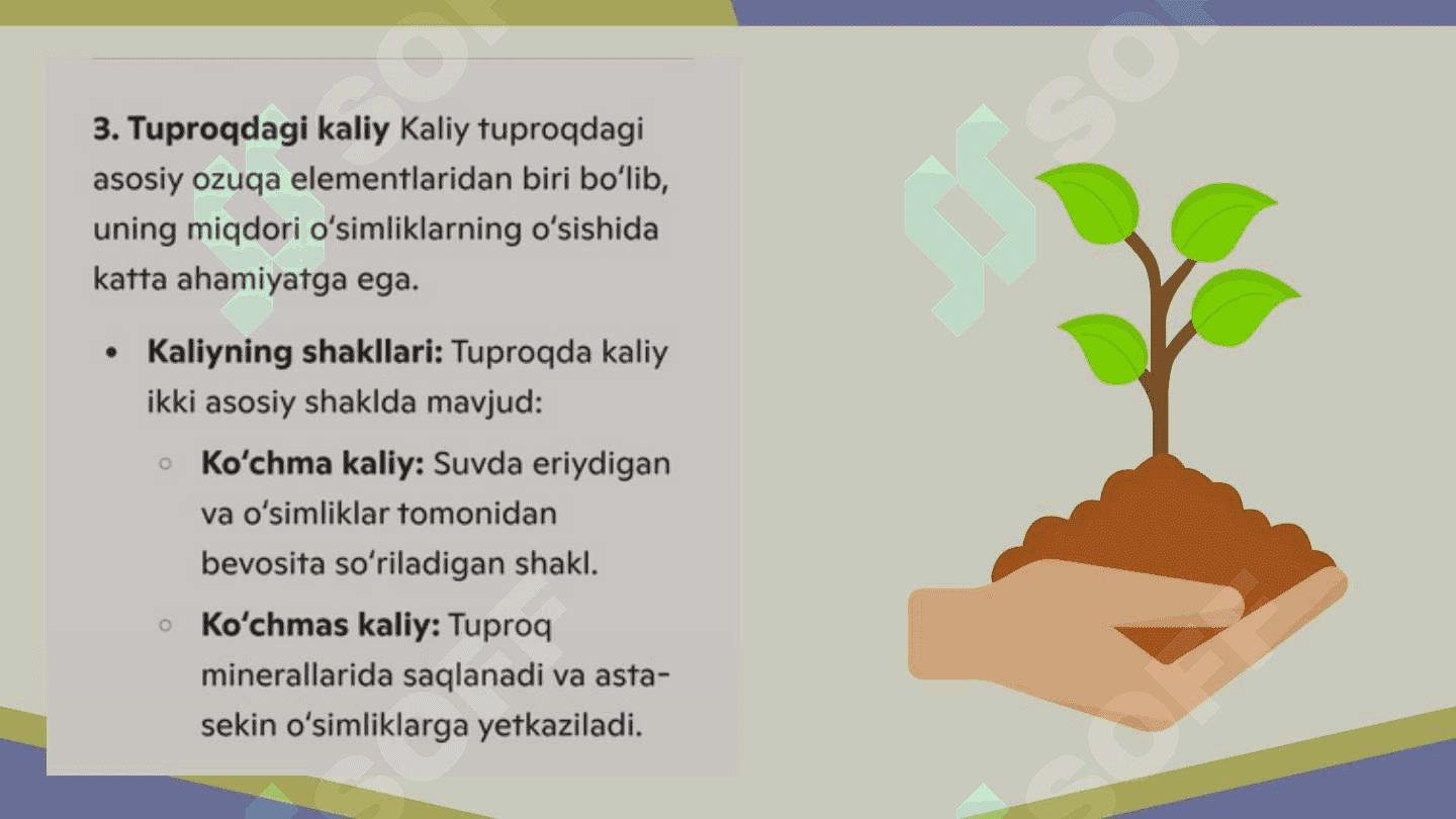Kaliy oʻsimliklar uchun ahamiyati va uning tuproqdagi miqdori mavzusida 6