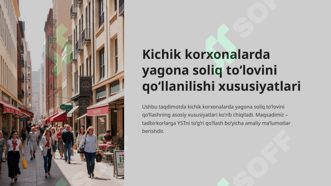 Kichik korxonalarda yagona soliq to‘lovini qo‘llanilishi xususiyatlari 3