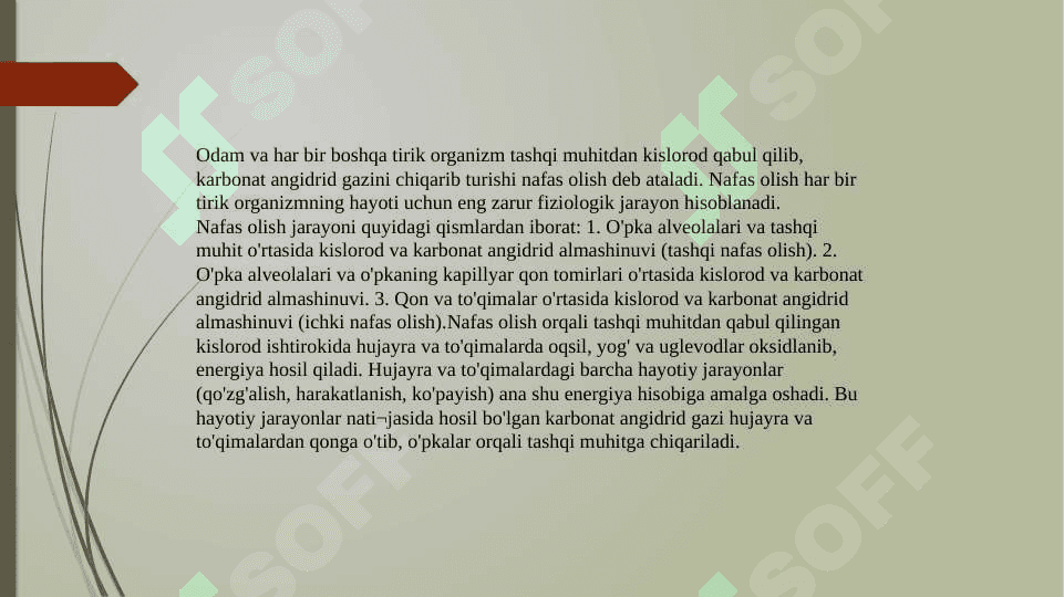 Nafas olish organlari va uning kasalliklari 2