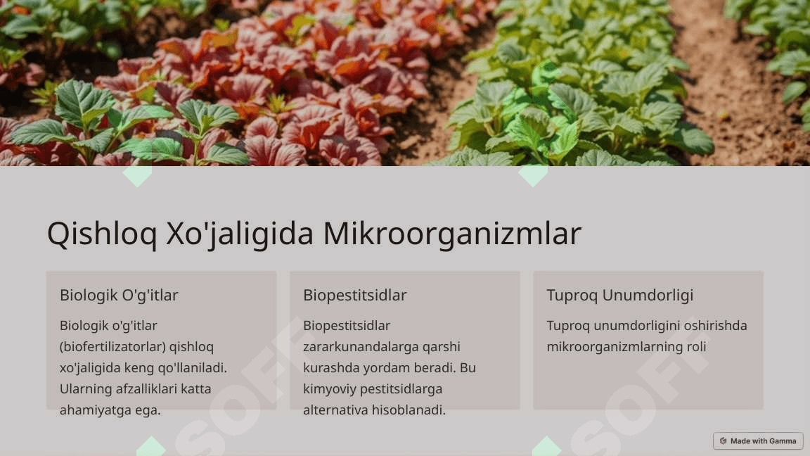 Mikroorganizmlar biotexnologiyasi 4