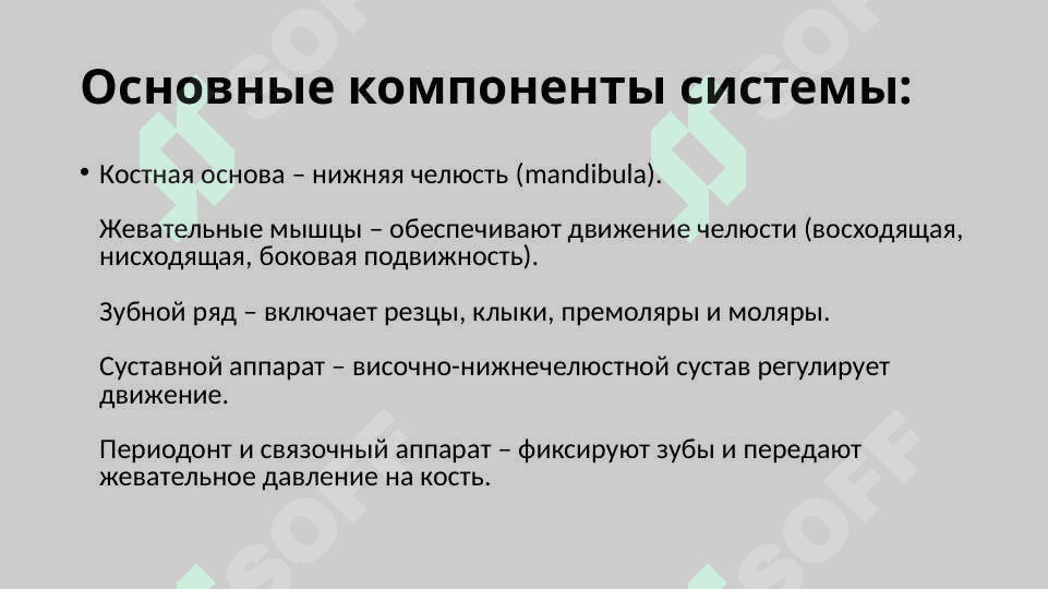 Функциональная система и зубной ряд нижней челюсти. Жевательные и мимические мышцы 3