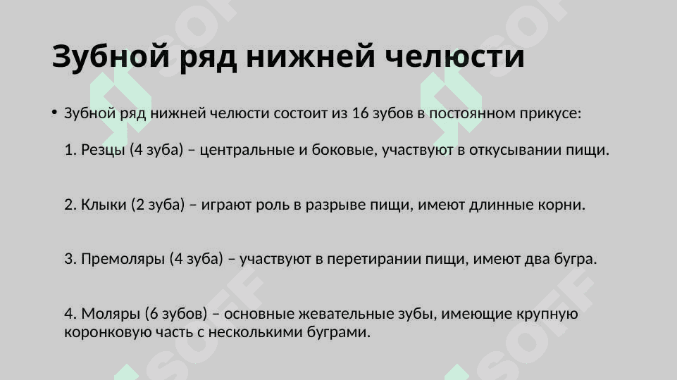 Функциональная система и зубной ряд нижней челюсти. Жевательные и мимические мышцы 4