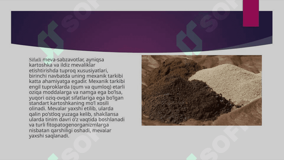 Kartoshka va sabzavotlarni saqlash texnologiyasi 3