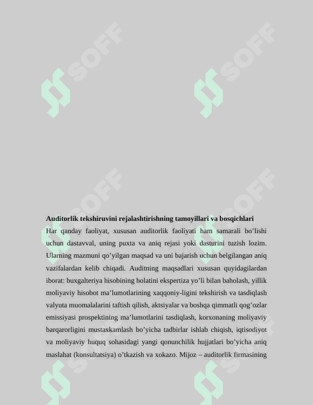Auditorlik tekshiruvini rejalashtirish     mustaqil ish 3