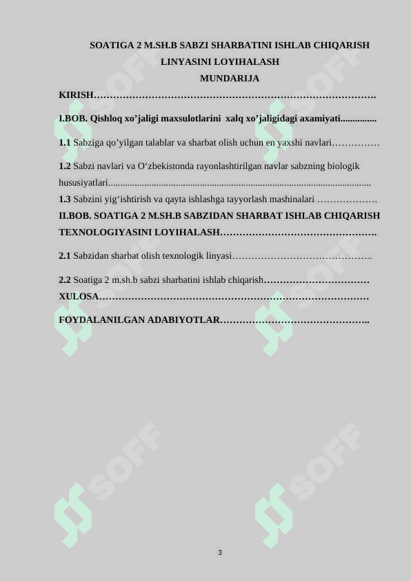 SOATIGA 2 M.SH.B SABZI SHARBATINI ISHLAB CHIQARISH LINYASINI LOYIHALASH 2