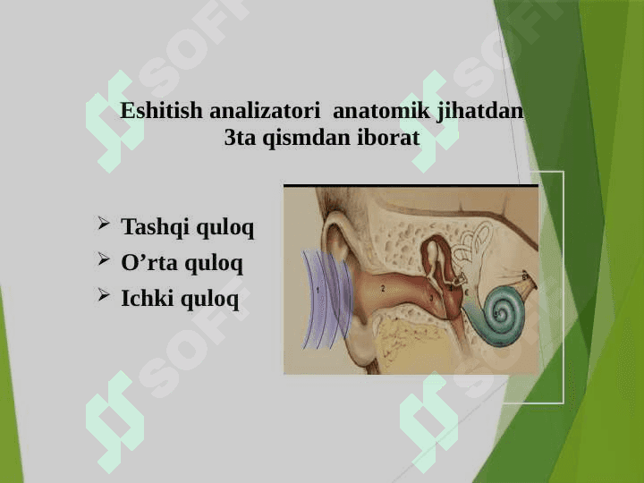 Eshitish idrokini rivojlantirish va talaffuzni shakllantirish 7