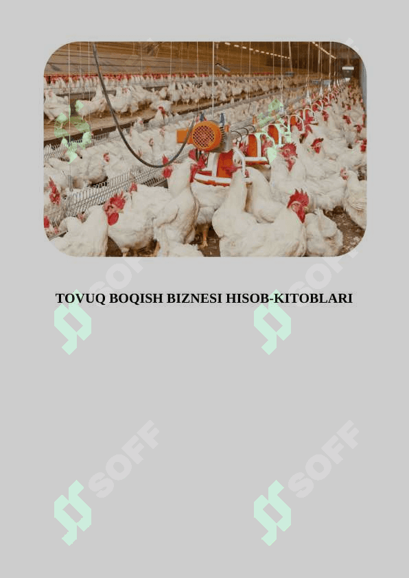TOVUQ BOQISH BIZNESI HISOB-KITOBLARI 2