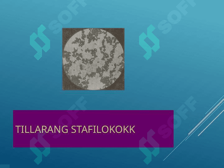 Terining yiringli kasalliklari 6