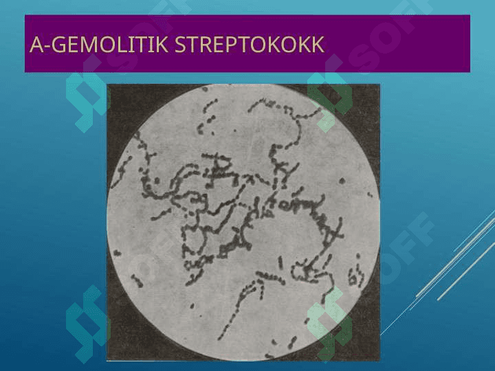 Terining yiringli kasalliklari 8