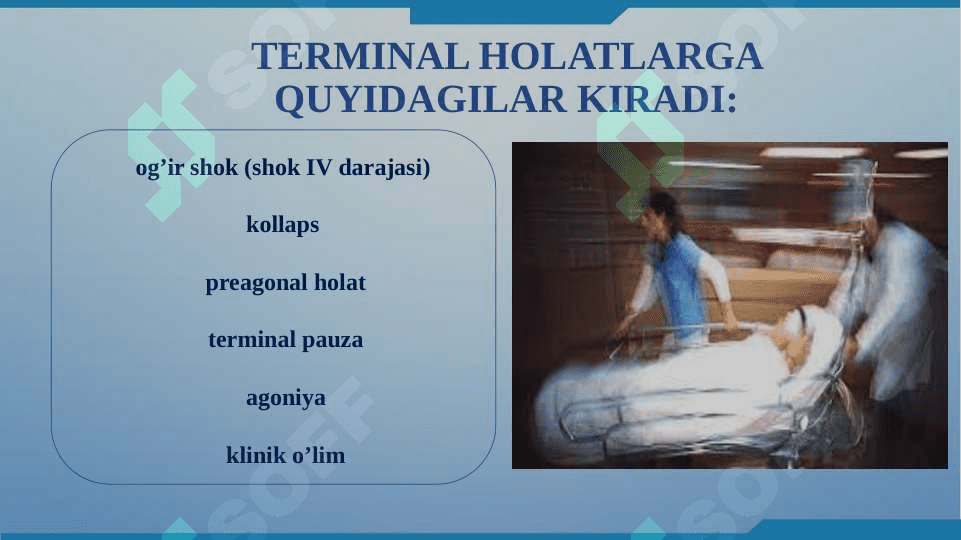 Terminal holatlar 01 5