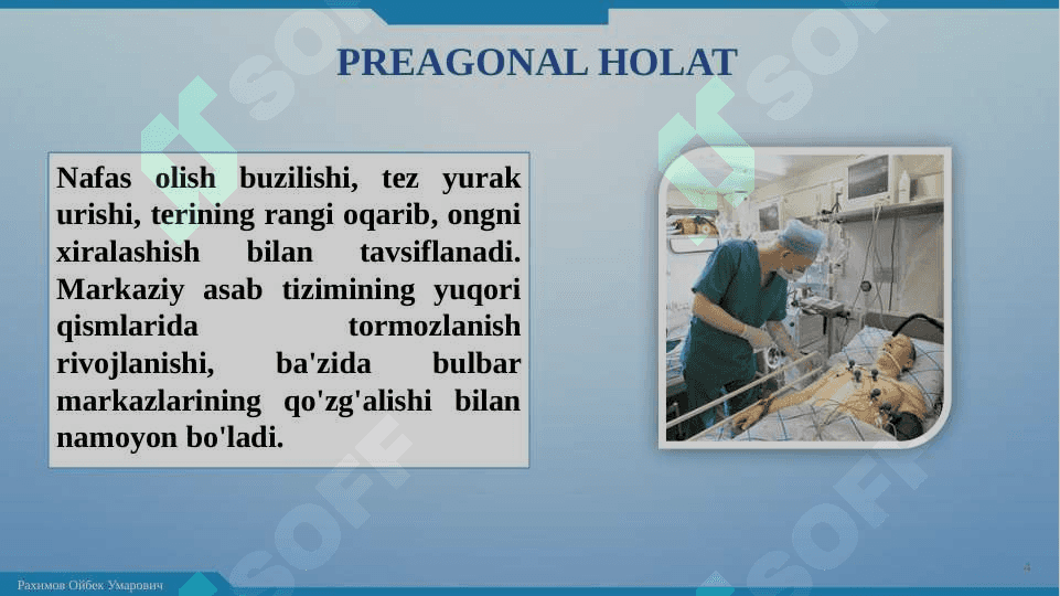 Terminal holatlar 01 6
