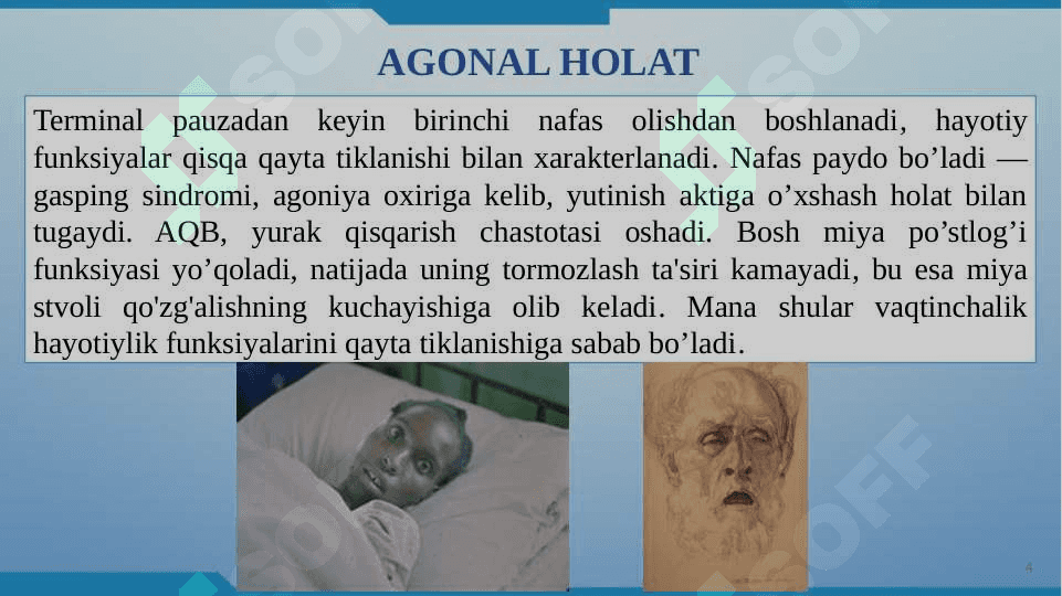 Terminal holatlar 01 8