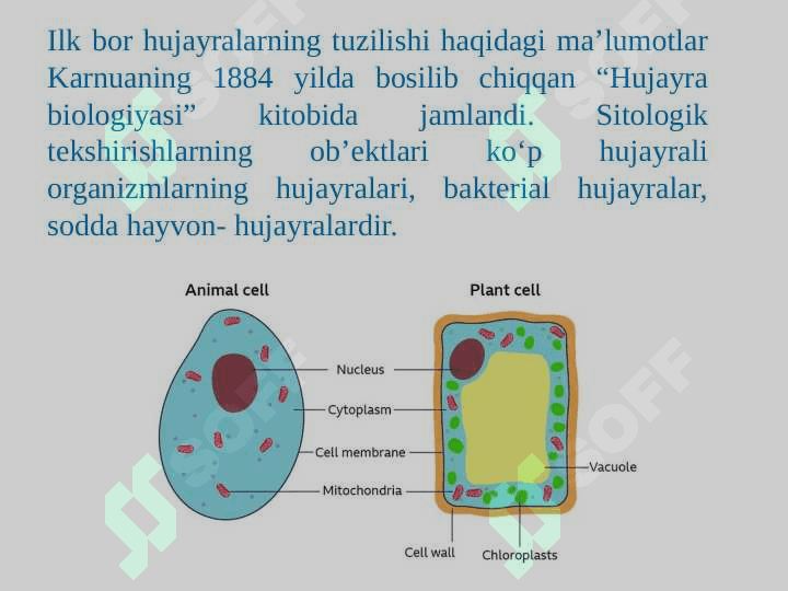 Kirish. Hujayra biologiyasini o’rganishda qo’llaniladigan usullar. Hujayra tiplari 5