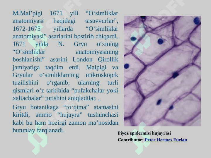 Kirish. Hujayra biologiyasini o’rganishda qo’llaniladigan usullar. Hujayra tiplari 7