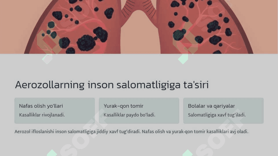 Aerozol ifloslanish, havoni muhofaza qilish, atmosfera ifloslanganligi ruxsat etilgan miqdori 4