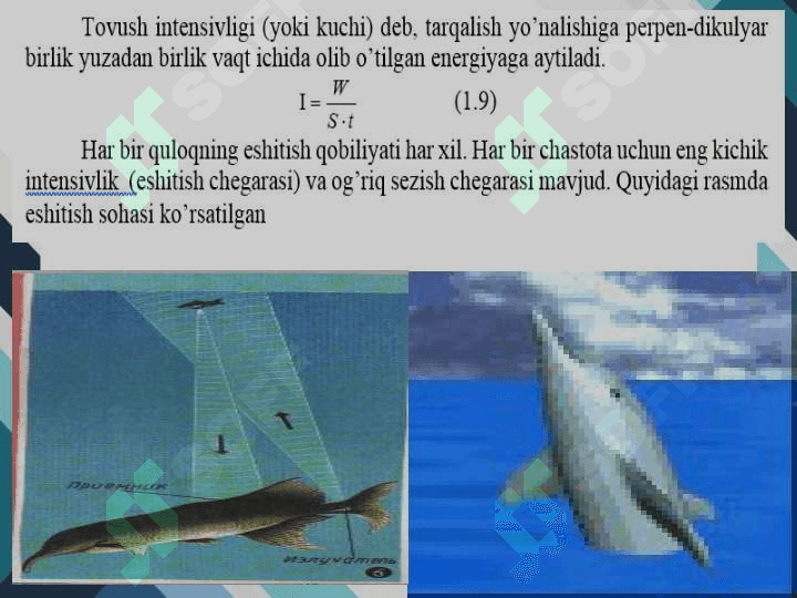 BIOAKUSTIKA VA GIDRODINAMIKANING BIOFIZIK ASOSLARI 5