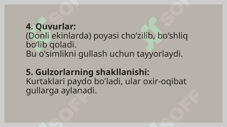 O'simliklar O’sish fazalari, tiplari va qonuniyatlari 4