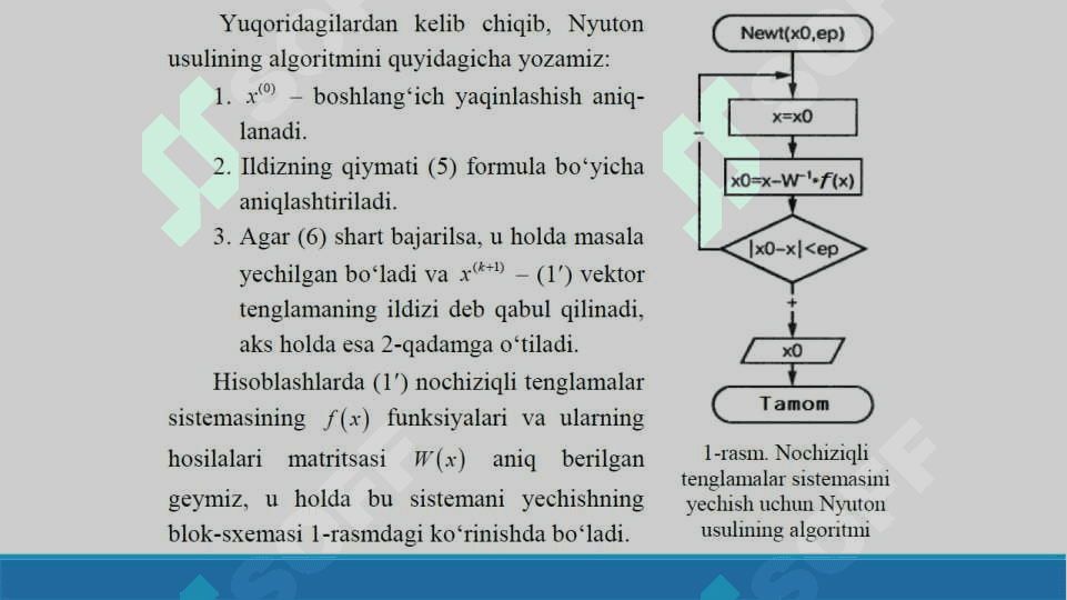 Chiziqsiz tenglamalar sistemasini yechishning iteratsion usullari | Sonli usullar 8
