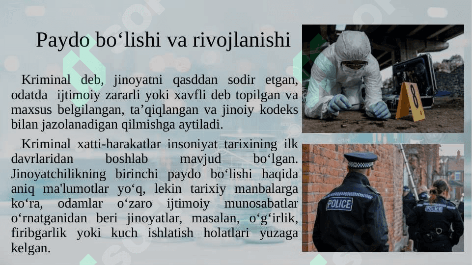 Jahon kriminal xo'jaligi 3