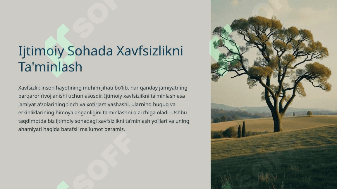 Ijtimoiy Sohada Xavfsizlikni Ta'minlash 2