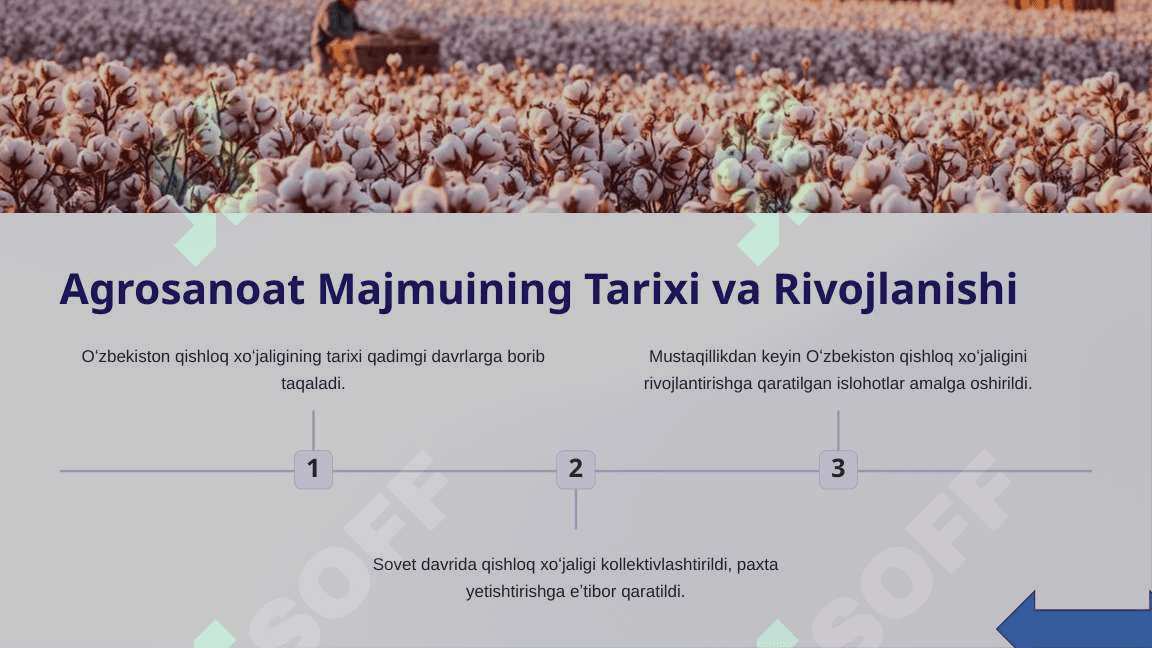 Oʻzbekistonda Agrosanoat Majmui Taraqqiyoti 3