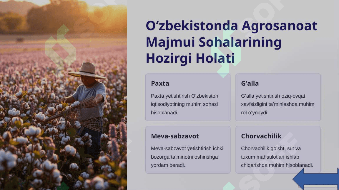 Oʻzbekistonda Agrosanoat Majmui Taraqqiyoti 4