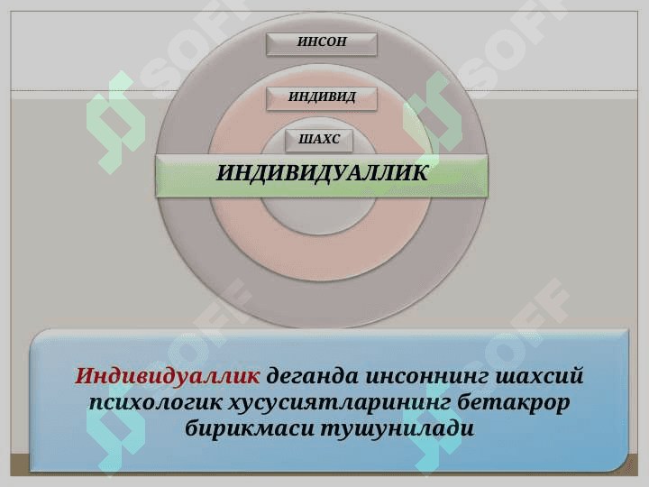 Шахс 4