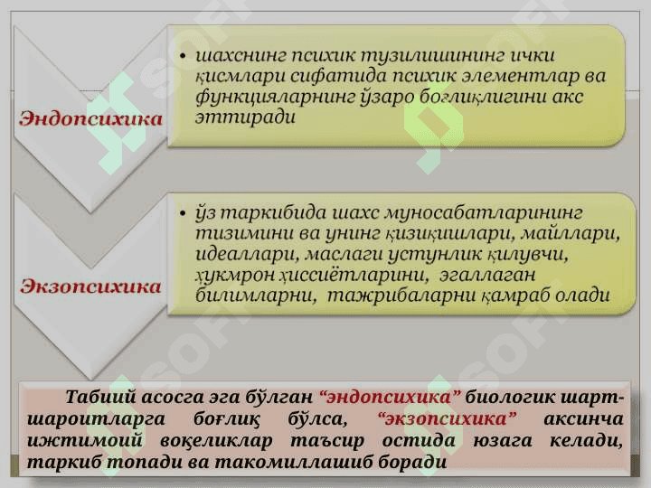 Шахс 5
