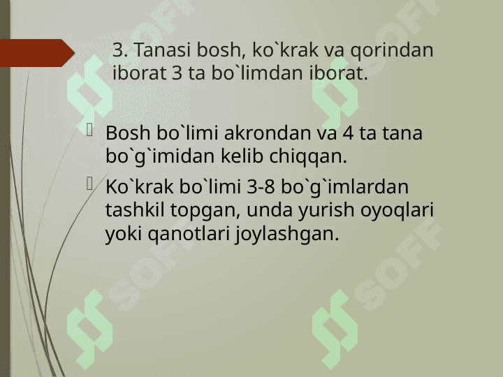 Qisqichbaqasimonlar (Crustacea) kenja tipi 5