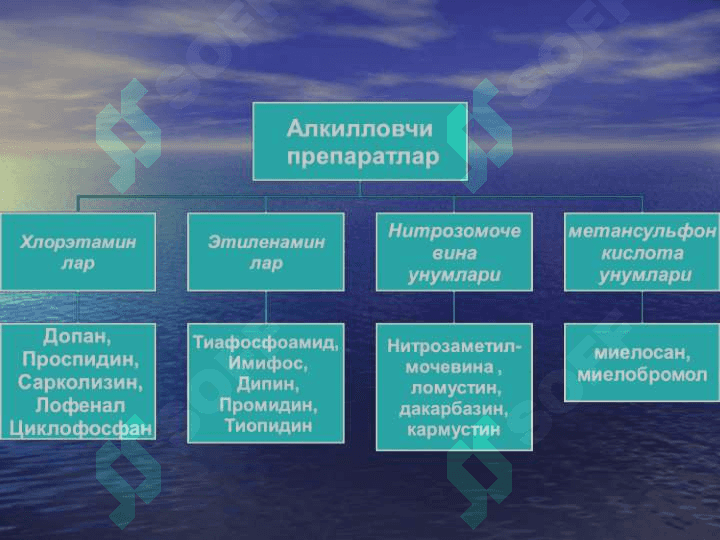 ЎСМАЛАРГА КАРШИ ДОРИ ВОСИТАЛАРИ 6