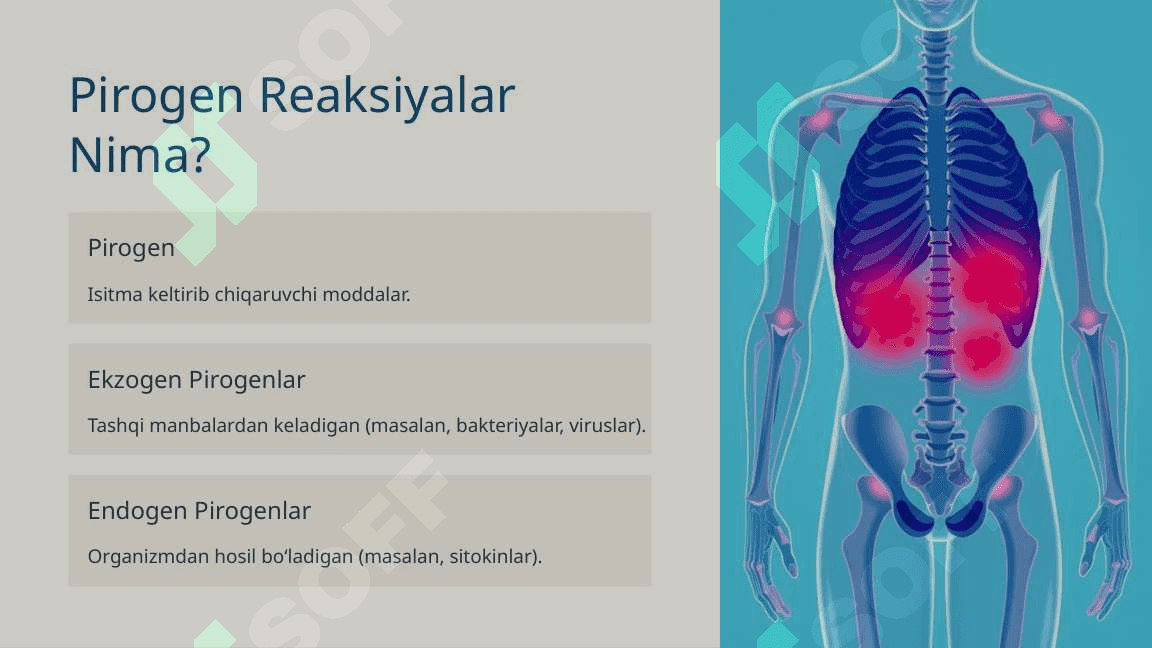 Pirogen Reaksiyalar: Sabablari va Klinikasi diagnostikasi va birinchi yordam 3