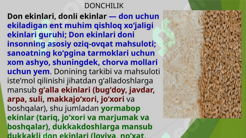 Jahon qishloq xo'jaligining tarmoqlar tarkibi 6