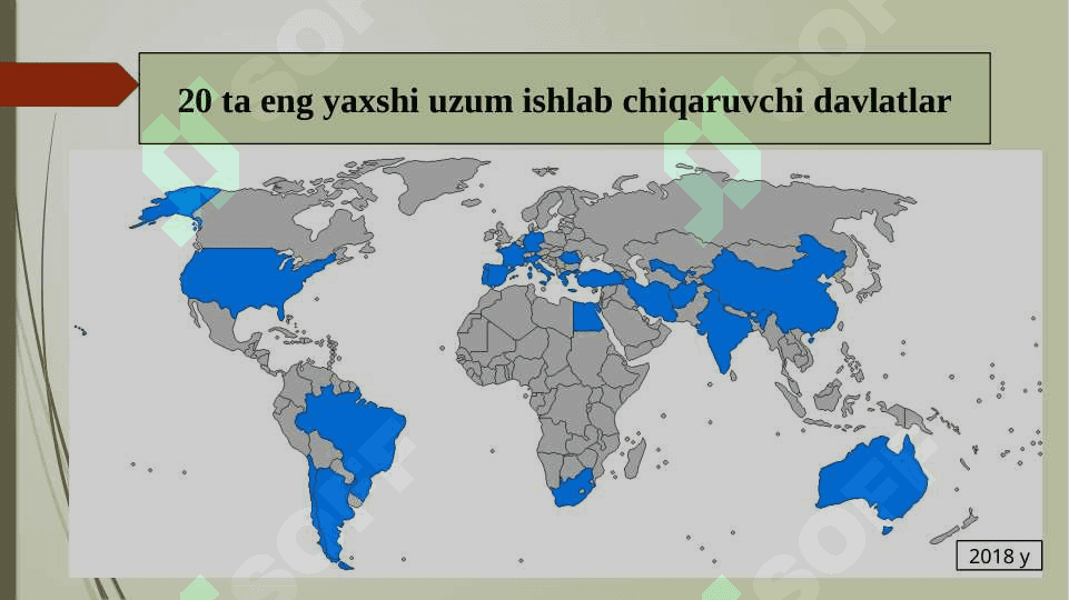 Uzumchilik mahsulotlarini yetishtirish 5
