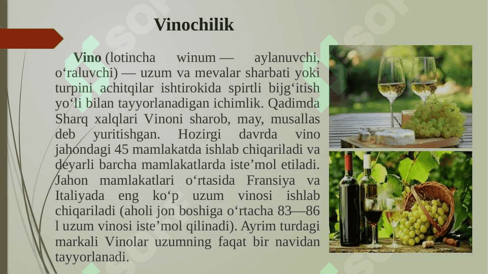 Uzumchilik mahsulotlarini yetishtirish 7