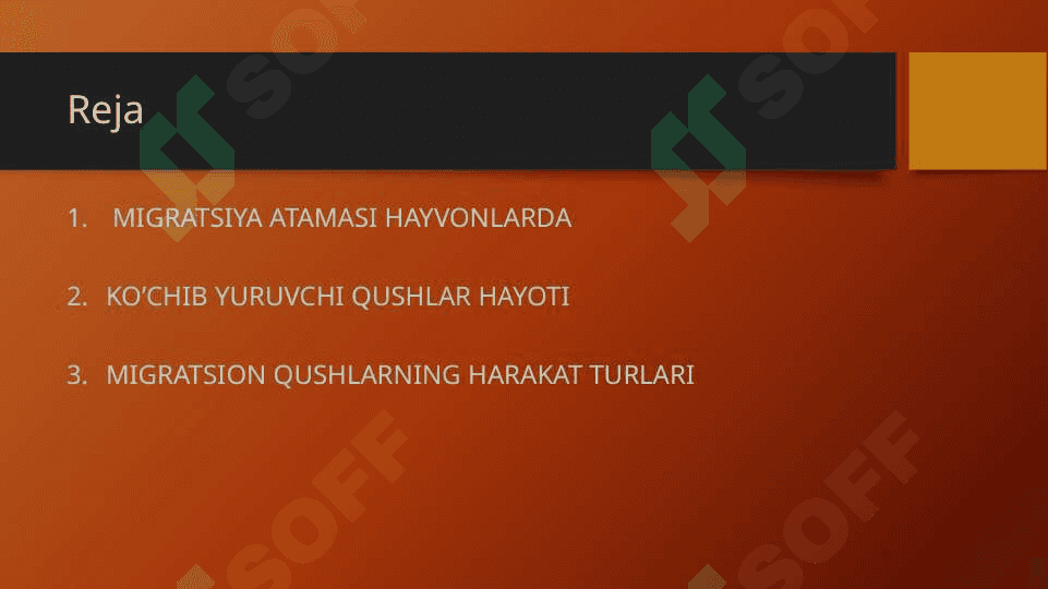 Ko‘chib yuruvchi qushlarning asosiy turlari 2