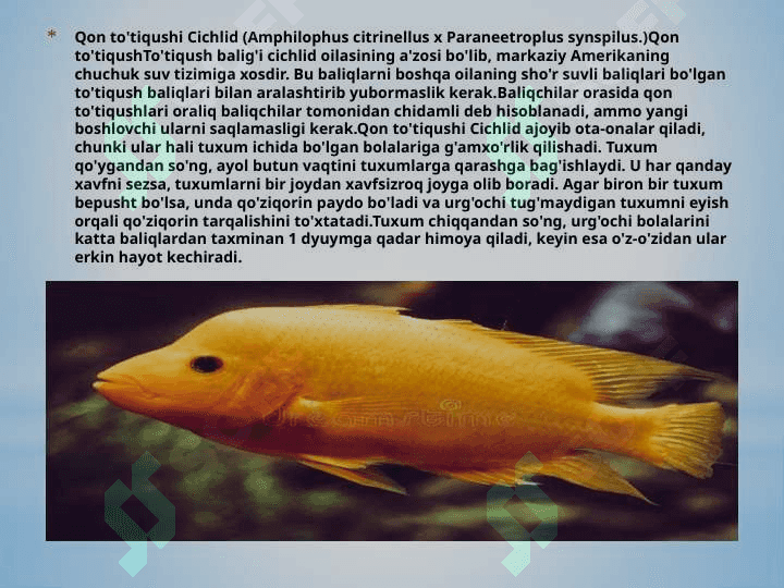 baliqlarning ko’payishi 6