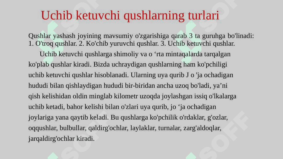 Uchib ketuvchi qushlar asosiy turlarining hayoti 3