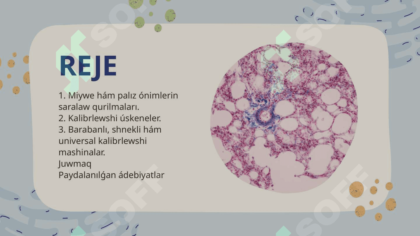 Miywe-baw-baqshalardi sortlaw hám kalibrovkalawda isletiletuǵin texnologiyaliq  úskeneler hám isleytuǵin liniyali texnologiyalar 2