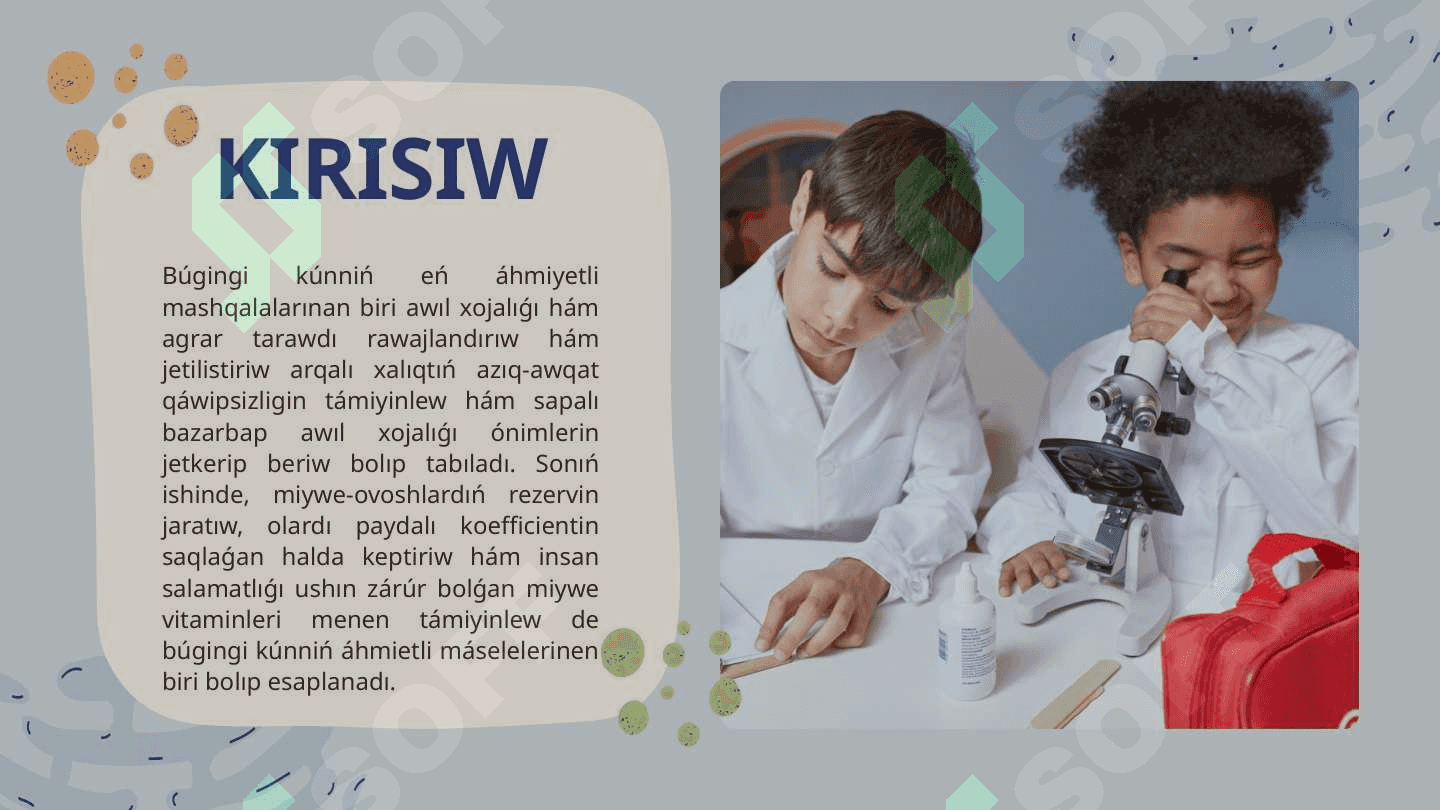 Miywe-baw-baqshalardi sortlaw hám kalibrovkalawda isletiletuǵin texnologiyaliq  úskeneler hám isleytuǵin liniyali texnologiyalar 3