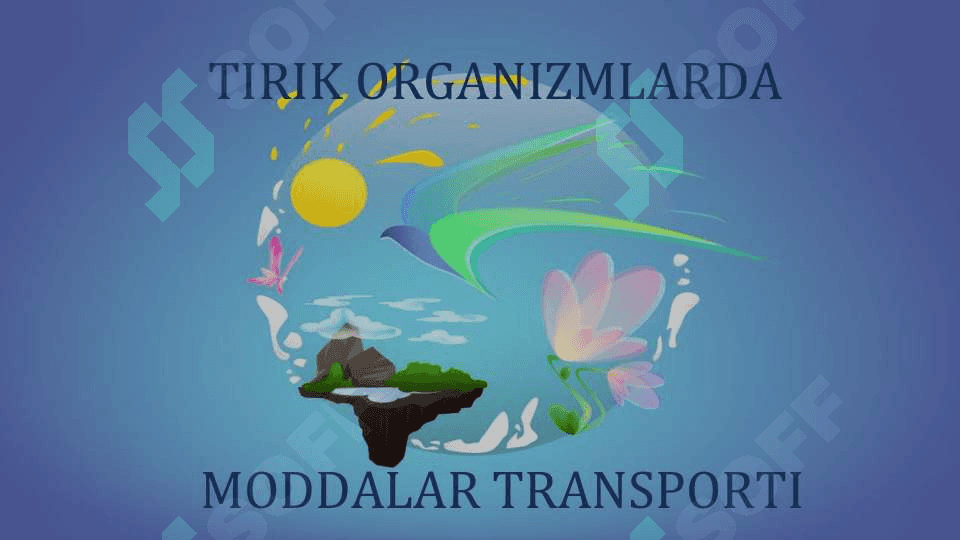 TIRIK ORGANIZMLARDA MODDALAR TRANSPORTI 2