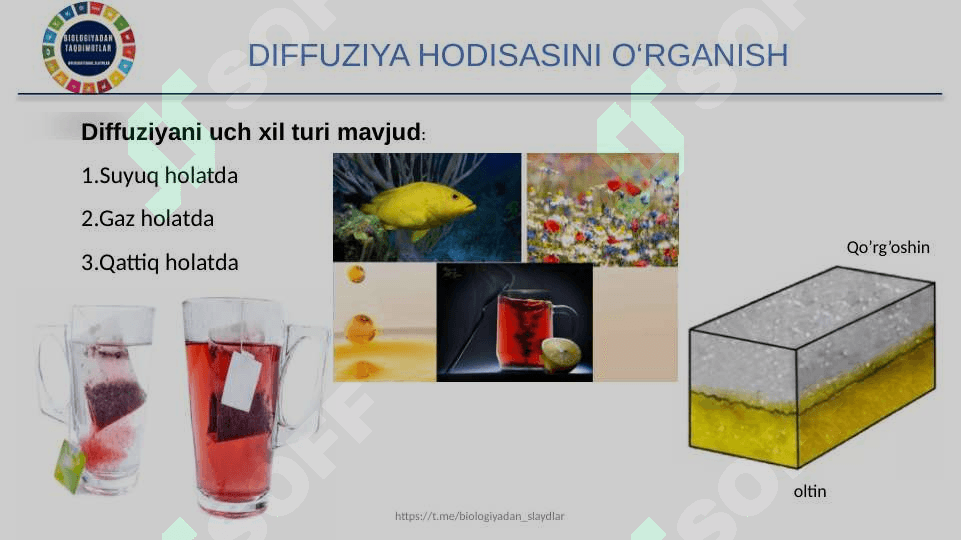 DIFFUZIYA HODISASINI O'RGANISH 3