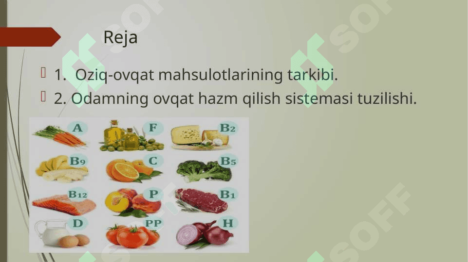 ODAMNING OVQAT HAZM QILISH SISTEMASI 3