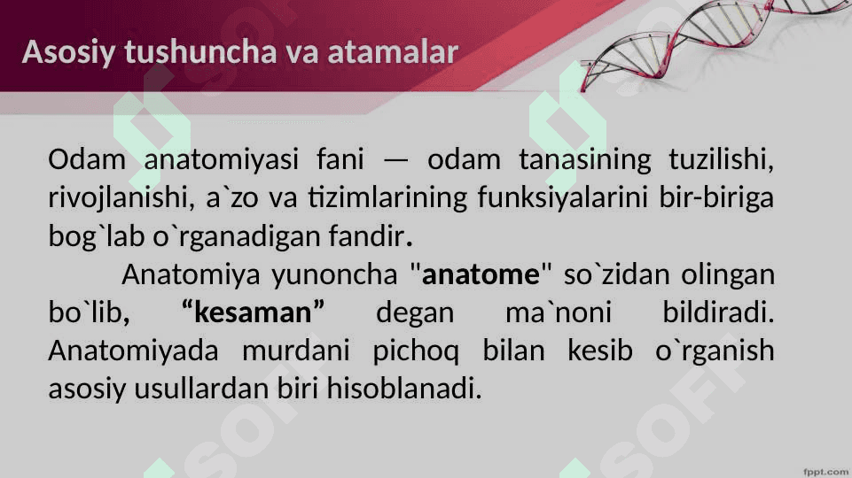 Tibbiy  tayyorlov  fani 3