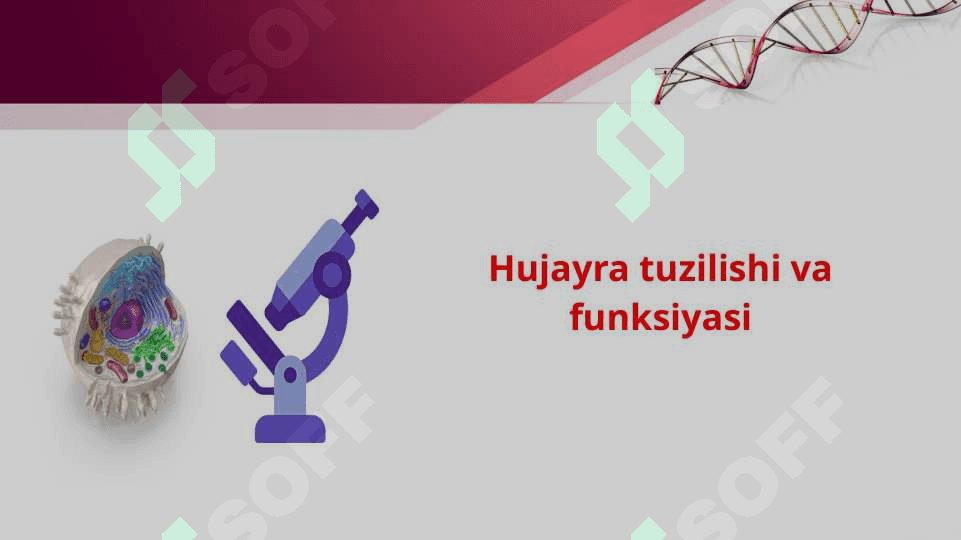 Tibbiy  tayyorlov  fani 8