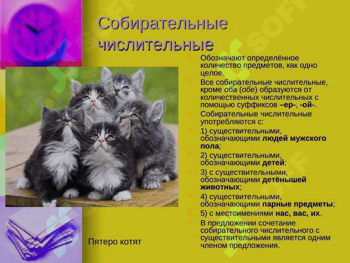 Имя числительное 7