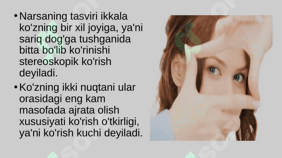 Ko'rish organlarining funksiyasi 4