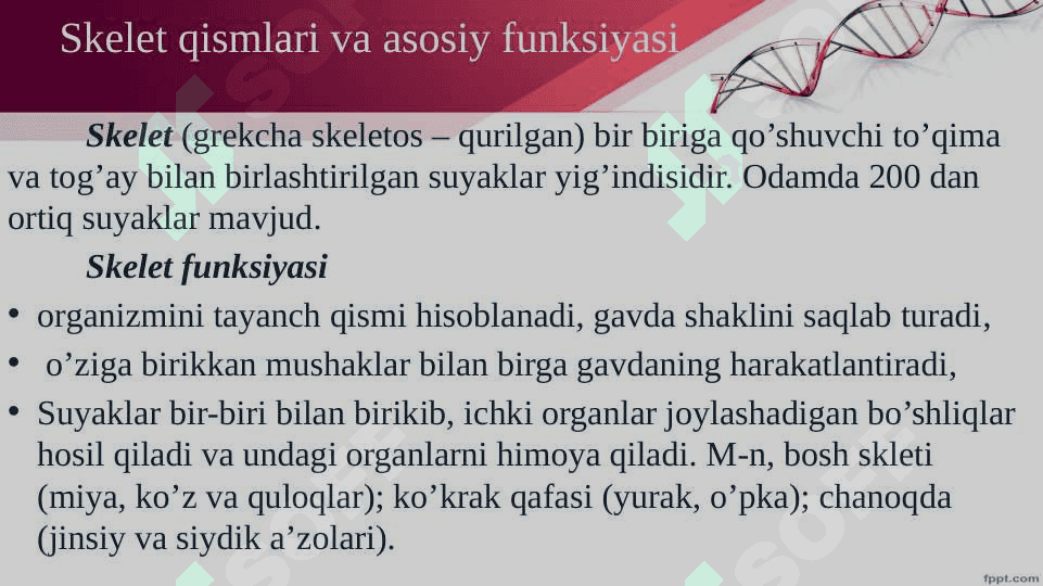 Mavzu :Harakat tayanch tizimi 3