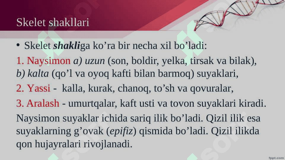 Mavzu :Harakat tayanch tizimi 4