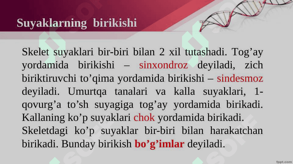 Mavzu :Harakat tayanch tizimi 7